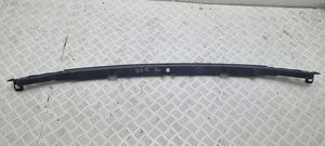 Citroen DS5 Rivestimento del tergicristallo 9800412280