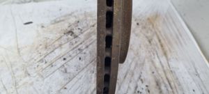 Volkswagen Multivan T5 Rear brake disc 