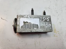 Citroen DS5 Air conditioning (A/C) expansion valve 