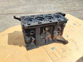 Renault Trafic II (X83) Bloc moteur 8200349962