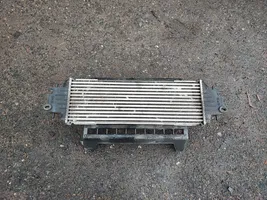 Nissan Primastar Chłodnica powietrza doładowującego / Intercooler 7700312903