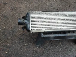 Opel Vivaro Intercooler radiator 8200219497