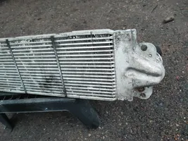 Volkswagen Transporter - Caravelle T5 Chłodnica powietrza doładowującego / Intercooler 