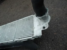 Volkswagen Transporter - Caravelle T5 Radiatore intercooler 