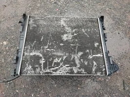 Renault Trafic II (X83) Radiateur de refroidissement 8200411166