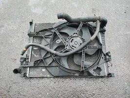 Renault Trafic II (X83) Coolant radiator 8200411166