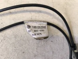 Volkswagen Transporter - Caravelle T5 Radio antena 1351262080