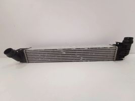 Dacia Duster Chłodnica powietrza doładowującego / Intercooler 8200880552