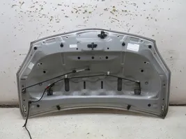 Toyota Prius (XW30) Engine bonnet/hood 