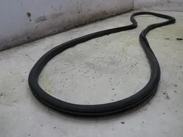 Opel Zafira C Front door rubber seal 