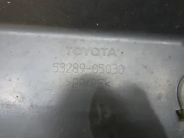 Toyota Avensis T270 Rivestimento della modanatura della chiusura del vano motore/cofano 53289-05030