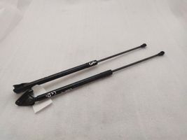 Toyota C-HR Tailgate/trunk strut/damper 68950F4060