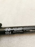 Hyundai Ioniq Ammortizzatore portellone posteriore/bagagliaio 81781G2000