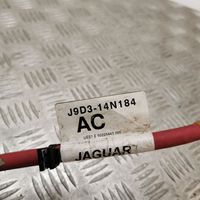Jaguar I-Pace Cavo positivo (batteria) J9D314N184AC