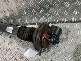 Citroen C5 Amortiguador/suspensión neumática delantera 9674996780