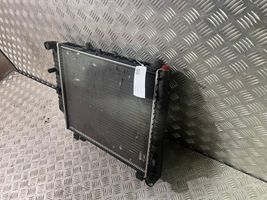 Mercedes-Benz C W202 Dzesēšanas šķidruma radiators 2025003403