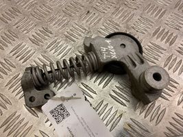 Volvo XC60 Napinacz paska wielorowkowego / Alternatora 1003096