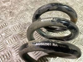 Ford Mustang VI Rear coil spring 113502901RA