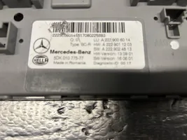 Mercedes-Benz S W222 Katvealueen valvonnan ohjainlaite (BSM) A2229006014