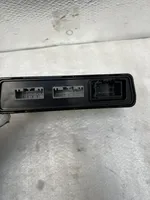 Tesla Model S Centralina/modulo portiere 100310100E