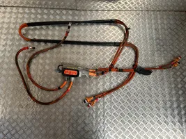 Tesla Model S Brake wiring harness 109700010E