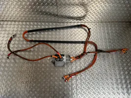 Tesla Model S Brake wiring harness 109700010E