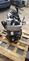 Renault Trafic III (X82) Puleggia dell’albero motore 123039555R