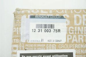 Renault Master III Koło dwumasowe 123100375R