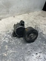 Mazda 5 Napinacz paska alternatora 