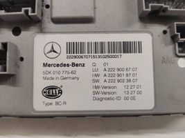 Mercedes-Benz S W222 Mukavuusmoduuli A2229006707