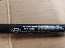 Hyundai Santa Fe Ammortizzatore portellone anteriore/cofano 81161S1000