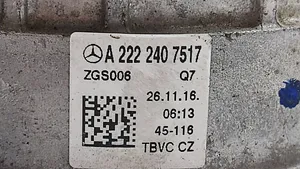 Mercedes-Benz S W222 Variklio pagalvė A2222407517