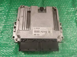 KIA Sorento Sterownik / Moduł ECU 391102FMM5