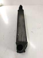 Volkswagen Sharan Radiatore intercooler 7M3145805