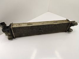 Renault Trafic III (X82) Intercooler radiator 144962019R