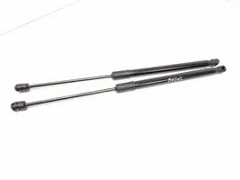 Audi A4 S4 B9 Tailgate/trunk strut/damper 8W9827552C