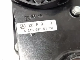 Mercedes-Benz CLS C218 X218 Sedynės nugaros atramos spyna A2189200172
