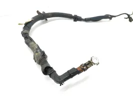 Toyota Land Cruiser (J120) Pliusinis laidas (akumuliatoriaus) 8212260430