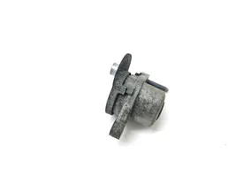 Citroen C4 II Napinacz paska alternatora 9801875280