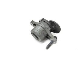 Citroen C4 II Napinacz paska alternatora 9801875280