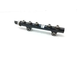 Citroen C4 II Kraftstoffverteiler Einspritzleiste Verteilerrohr 9685297580