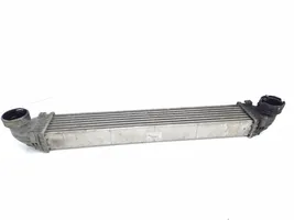 Mercedes-Benz B W245 Radiador intercooler A1695000900