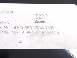 Audi A6 Allroad C6 (B) Rivestimento del montante (esterno) 4F0853290A