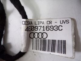 Audi A8 S8 D3 4E Faisceau de câblage de porte arrière 4E0971693C