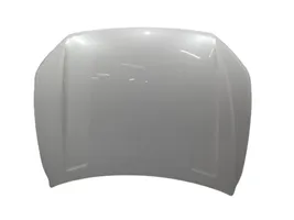 Volkswagen Touareg III Engine bonnet/hood 760