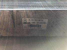 Mercedes-Benz B W245 Interkūlerio radiatorius A1695000900