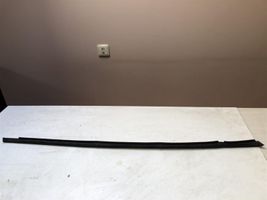 Volkswagen PASSAT B5.5 Rubber seal front door (on door) 