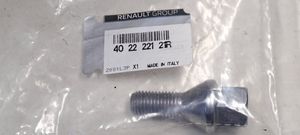 Renault Megane III Nuts/bolts 402222121R