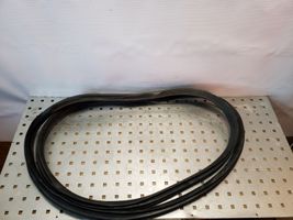 Fiat Grande Punto Rear door rubber seal (on body) 