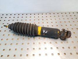 Hyundai Terracan Front shock absorber/damper 